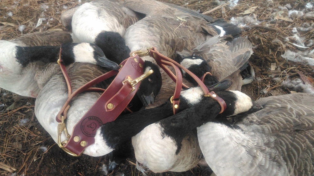Otis Leather Co. game carrier thanks to my lovely wife and some geese.