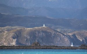 Pencarrow Lighthouses 