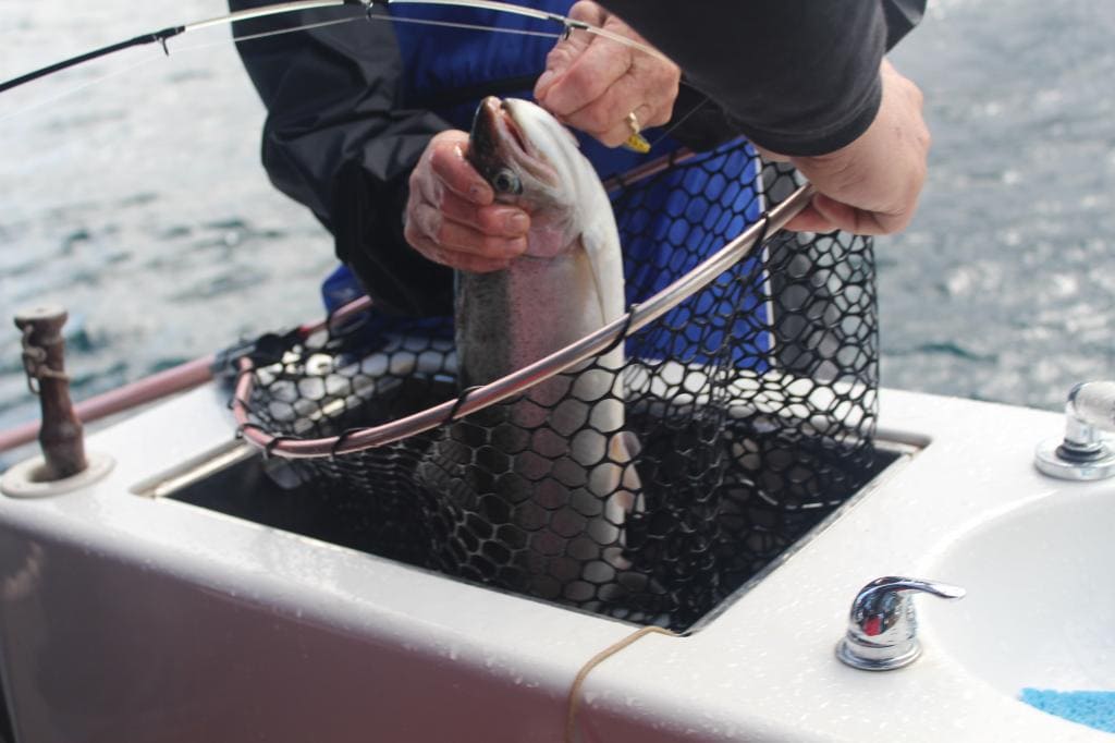 Trout on the Boat