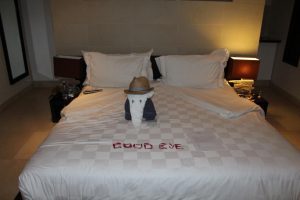 Towel Elephant