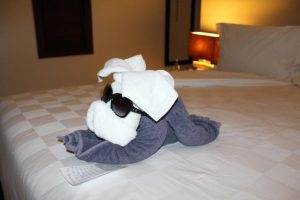 The Towel Dog with Jenna's Glasses