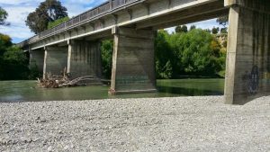 Kokotau Road Bridge and seeing some foul caught.