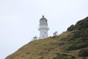 Cape Brett Lighthouse 