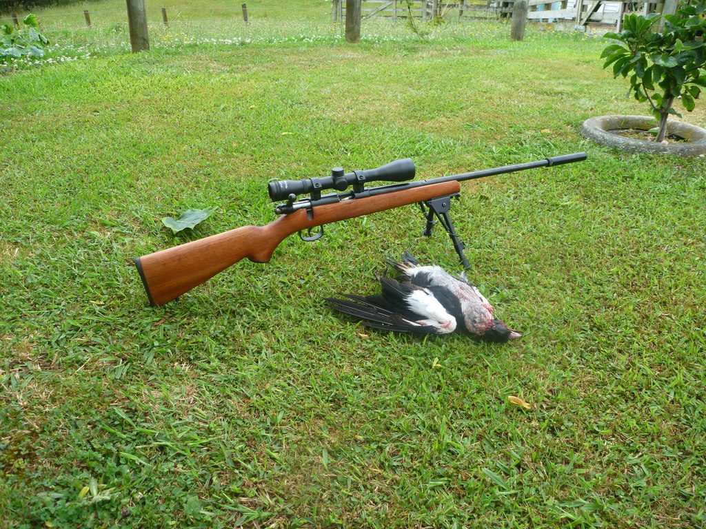 Norinco JW15 first kill