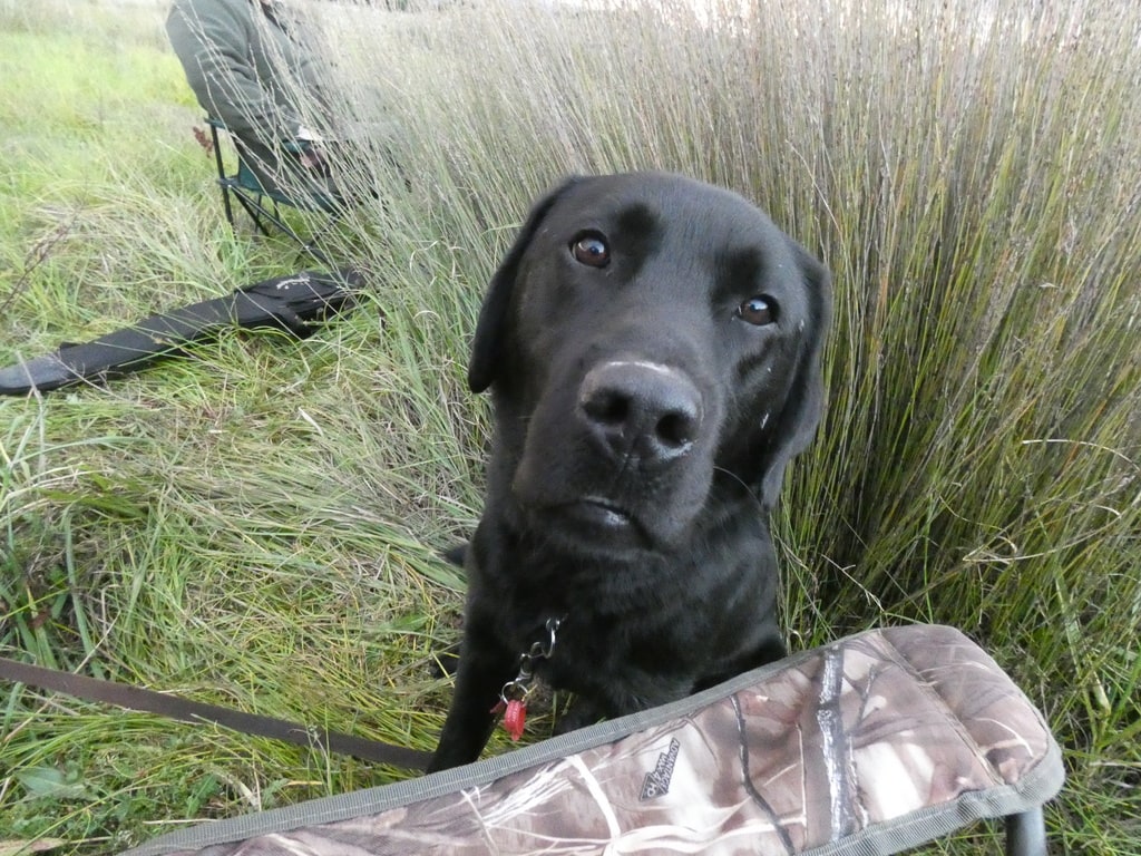 ace at Lake Wairarapa