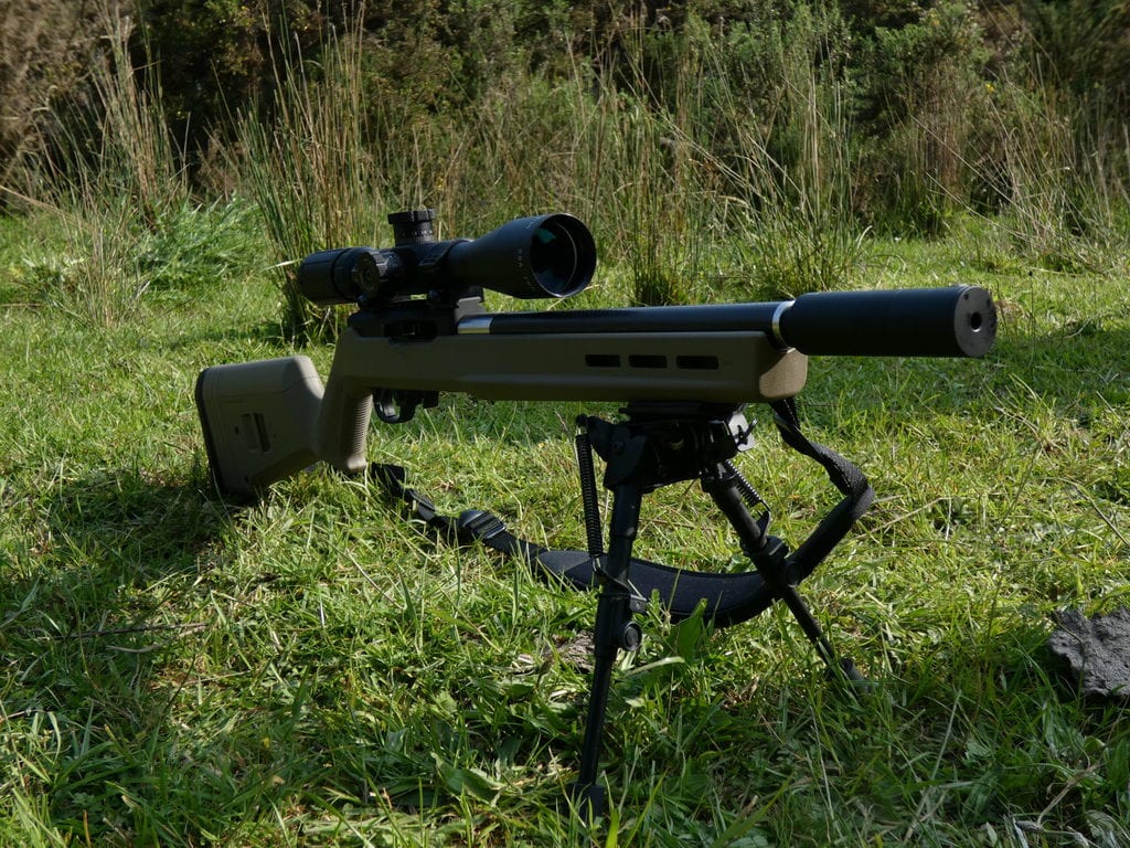 The 10/22 in a field sitting on it bi pod lookign good