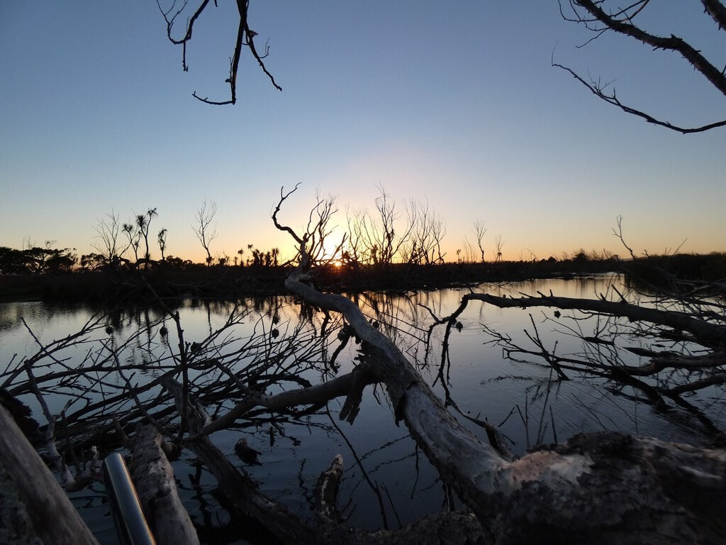 a beautiful sunrise over boggy pong wairarapa