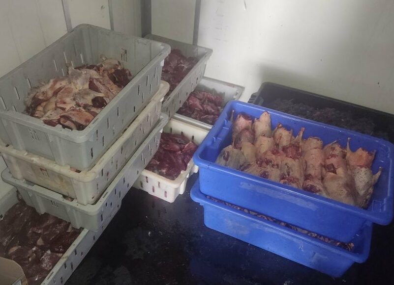 All our birds processed, ready for bagging and into the freezer.