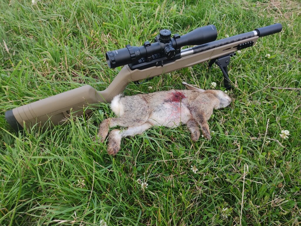 Rabbit with entry hole behind front leg sitting Infront of my custom Ruger 10/22.