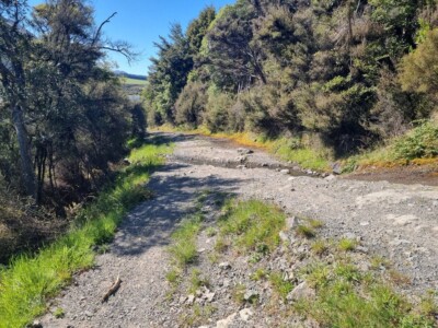 Some more of the mountain biking track Rough mountain biking track
