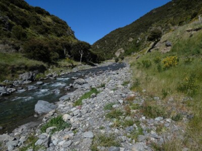 A small feeder creek into the Hurunui River. A small feeder creek into the Hurunui River.