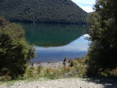 Trout cruising along the edge, the water is so clear Loch Katrine with a boat at the background